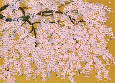 麗ら枝垂桜