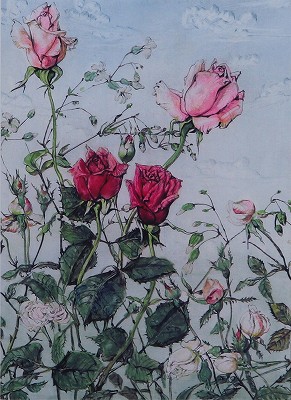 薔薇 1956