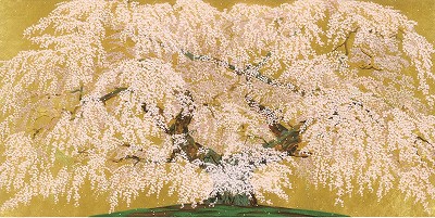 煌煌常陸の枝垂桜