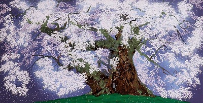 中曽根の権現櫻