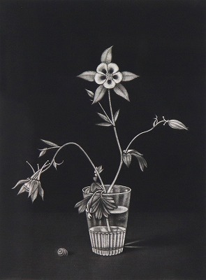 コップに挿したアンコリの花