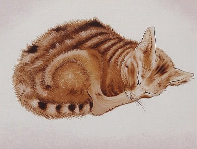 眠る猫